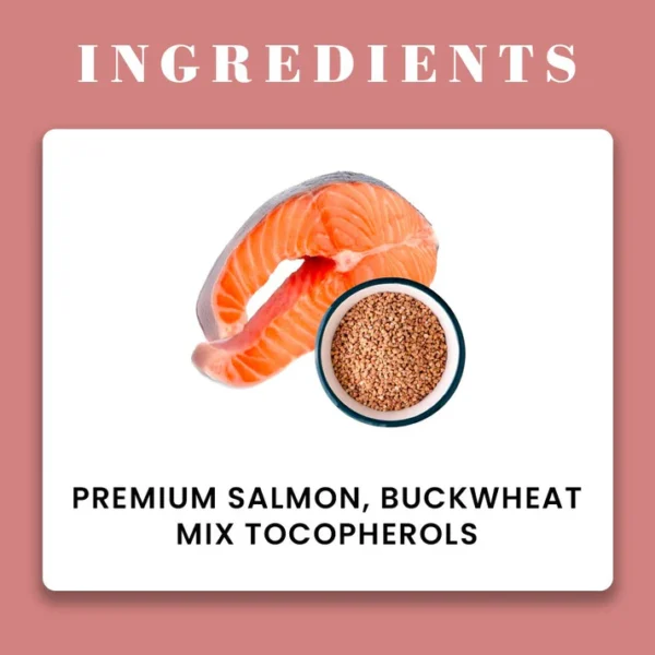 Salmon Treats - Soos Wellness